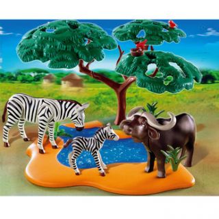 Play safari around the water hole with the buffalo and zebras for 