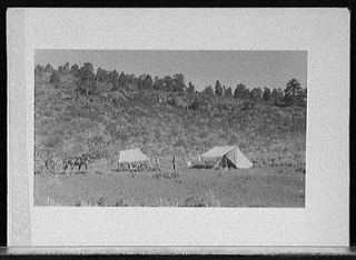 Carriage,wagon​,tent,possibly reenactment of pioneer or Civil War 