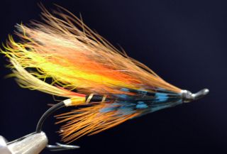 Atlantic Salmon Thunder and Lightning  Hairwing  tied by Jed Waterman