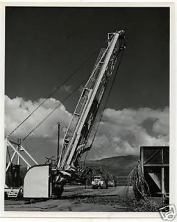 sugar cane loading 3 Hawaii Sugar Mill 1960s Photo8x10