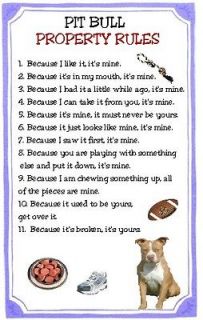 Newly listed Pit Bull Funny Property Rules Magnet for the 