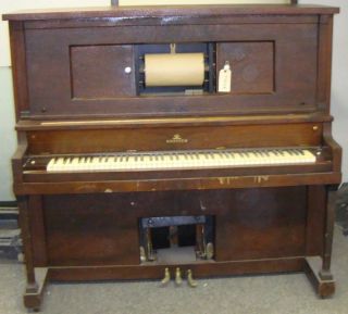 Musical Instruments & Gear  Piano & Organ  Piano  Player