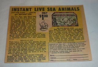 1963 toy ad instant live sea animals early sea monkeys