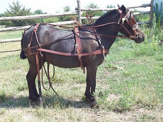   Russet Leather Cart Harness Mini Horse, Mini Donkeyor Shetland 46 tall