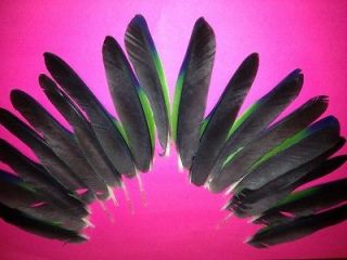 18 Parrot Feathers  Green, Blue & Black, 6 8 Pairs, Costume, Fly Tying 