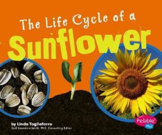The Life Cycle of a Sunflower by Linda Tagliaferro 2007, Reinforced 
