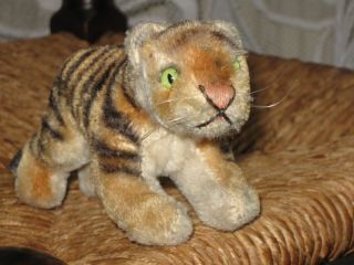 Steiff Antique Jung Tiger Cub Mohair 1314,0 1954 58 No ID