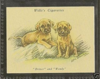 1940 UK Reissue LUCY DAWSON Dog Art Wills Cigarette Card ENGLISH 