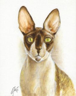   Original Oil CAT Portrait Art Painting CORNISH REX Artwork from Artist