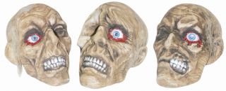 Creepy Rotten Fake Skull Decoration Old Man Halloween Glass Eye Indoor 