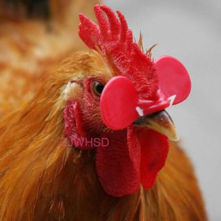   Chicken Eyes Glasses Avoid Hen peck each other chicken farm 55mm