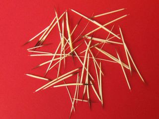 100 piece lot of African Porcupine Quills 6 to 7 inches taxidermy # T 