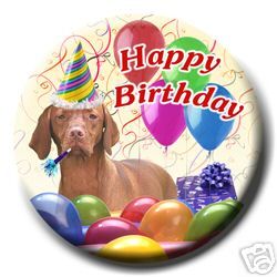 HUNGARIAN VIZSLA Happy Birthday PIN BADGE New DOG