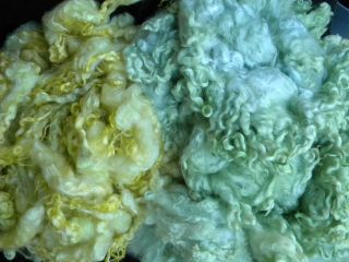 Washed and Dyed LINCOLN Sheep Wool for Primitive Reborn Doll Troll 