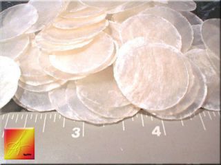 capiz shells 1 5 round one hole seashells craft 100