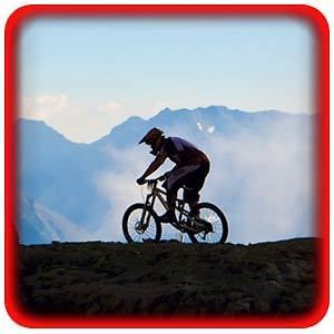 Established Online Bike & Cycling Business Website For Sale Free 