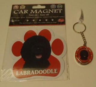   Mixed Breed Dog Car or Locker Magnet & Spinning Keychain KC121