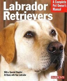 NEW Labrador Retrievers Everything about History, Purchase, Care 
