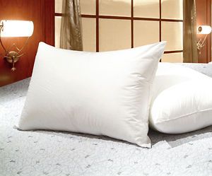 new 300 tc queen feather goose down bed pillow set