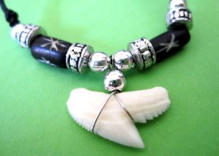 REAL TIGER SHARK TOOTH PENDANT BLACK WOOD BEADS CORD NECKLACE MEN 