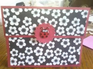 lady bug party favor  3 00 0