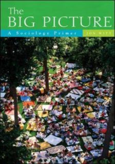The Big Picture A Sociology Primer by Jon Witt 2006, Paperback