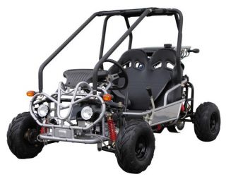 NEW 2012 110cc Youth Go Kart Dune Buggy Fully Automatic +Reverse FREE 