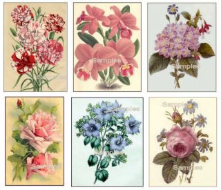 Machine Embroidery   Vintage Flowers   6 Patterns