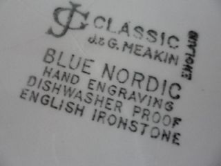 Staffordshire J G Meakin England Classic Blue Nordic Pie Dessert 