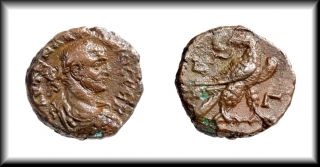   II Gothicus ROMAN Coin Tetradrachm EAGLE Wreath ALEXANDRIA Egypt Mint