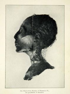 1923 Print Mummy Head Thutmose IV Grandfather Paternal Akhenaten 