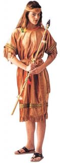 Native American Princess Adult Indian Maiden Costume Size Medium 