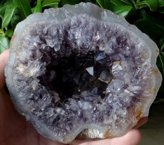  album amethyst geode full of crystal points beautiful amethyst geode 