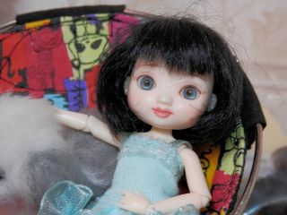 Tonner Wilde Amelia Thimble Basic Doll with EXTRAS Tiny BJD 1 12 Resin 