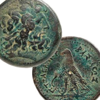 Ptolemy IV Zeus Ammon Huge 42mm 68g Æ Bronze Coin Greek Ptolemaic 