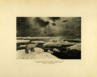  Polar Bear Airplane Holmboe Norwegian Government Amundsen Ice