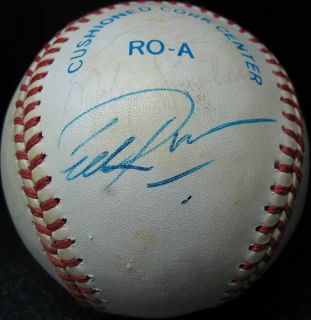   American League Baseball signed by the 1988 AL East Champion BOSTON