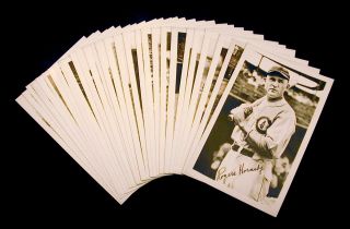 1931 Chicago Cubs Picture Pack 5 Hall of Famers Nice