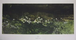 you are bidding on a andrew wyeth may day 1971 triton press print this 