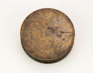 Antique 19thC French Burr Walnut Faux Tortoiseshell Snuff Box C 1820 