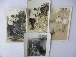   lot photographs decoy duck alligator hunting lake apopka florida 1934