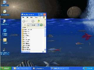 Pond Aquarium 3D Screen Saver Fish Screensaver PC New