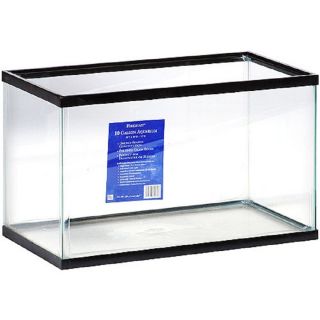 Basic Aquarium Empty 10 Gallon Glass Fish Tank