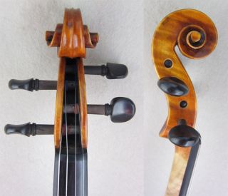The Testore Violin Inspired by Carlos Antonio 9087