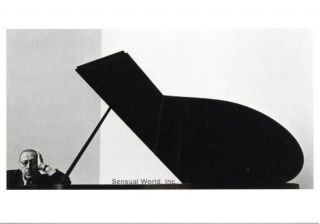   Stravinsky Grand Piano Portrait Arnold Newman Photo Postcard