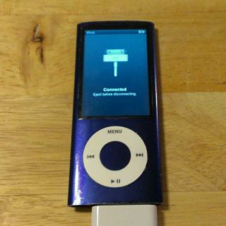 Apple iPod nano 4th Generation chromatic Purple ( 8GB )