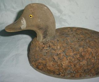 Old Duck Decoy 1000 Islands St Lawrence River NY
