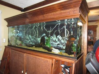 30 gallon fish tank stand modern