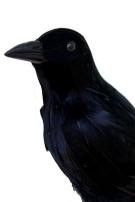   Artificial Feathered Black Halloween Crow Artificial Halloween Crows