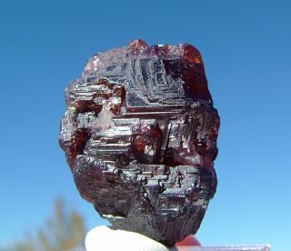 Dark Red Spessartite Garnet Gem Mineral Specimen 80cts